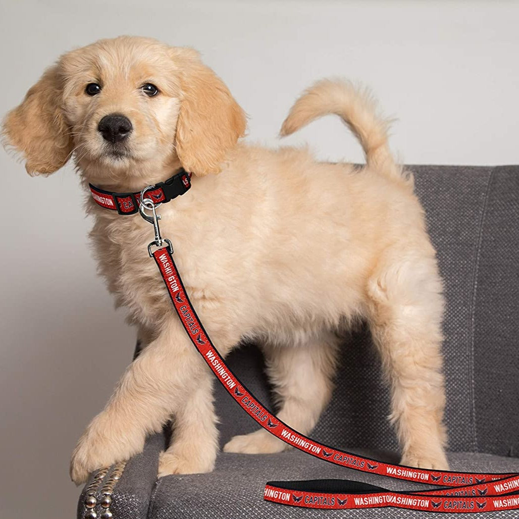 Washington Capitals Dog Collar or Leash