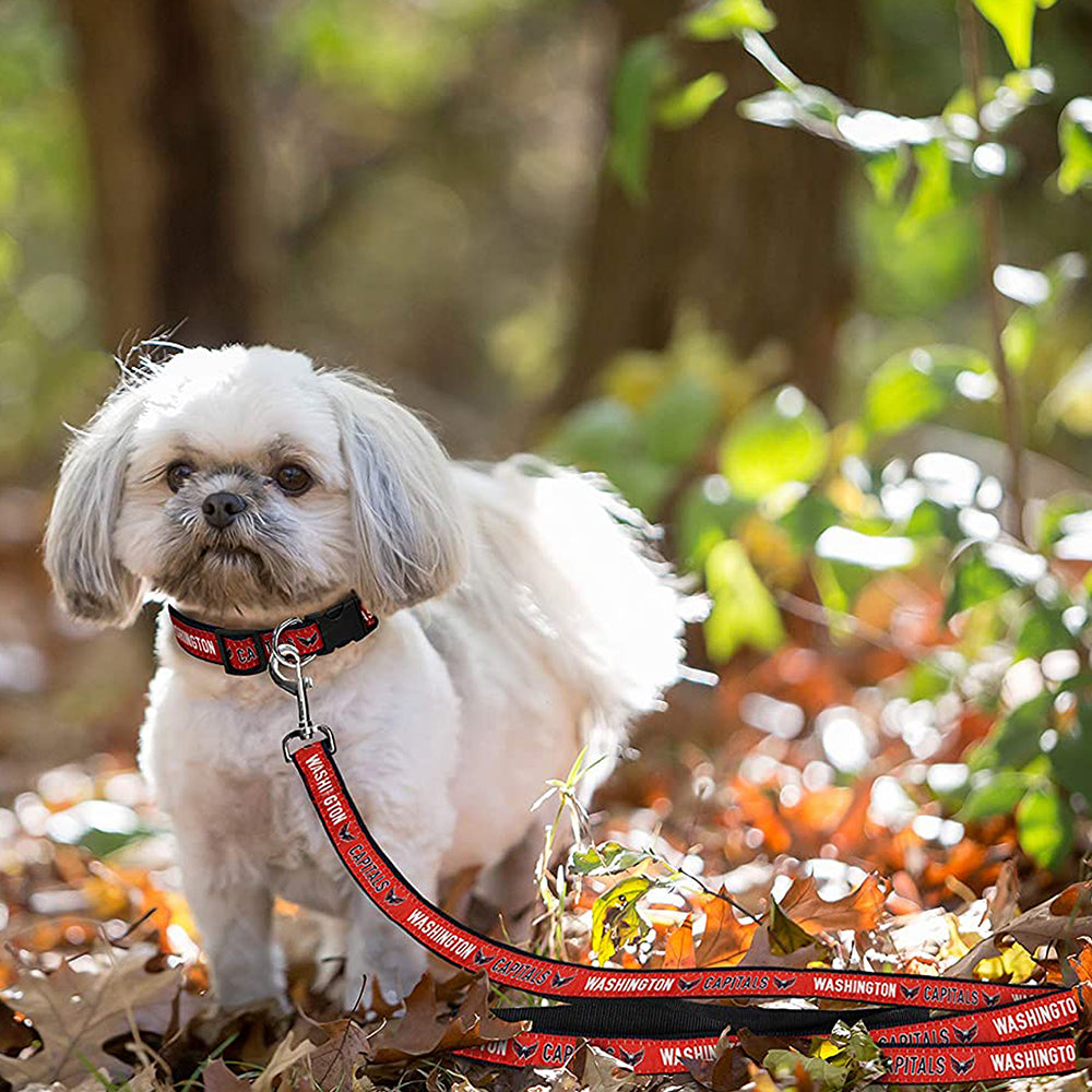 Washington Capitals Dog Collar or Leash