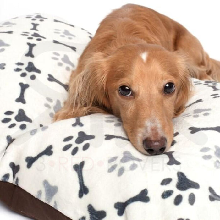 Brentford FC 23 Home Inspired Pet Beds - 3 Red Rovers