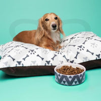 Newcastle United FC 23 Home Inspired Pet Beds - 3 Red Rovers