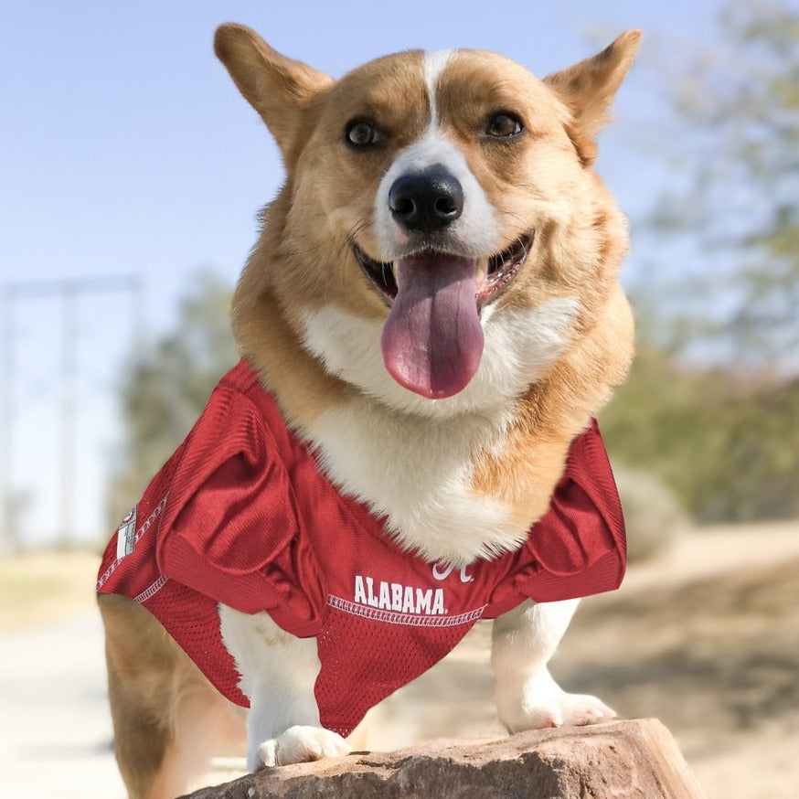 AL Crimson Tide Pet Jersey 3 Red Rovers