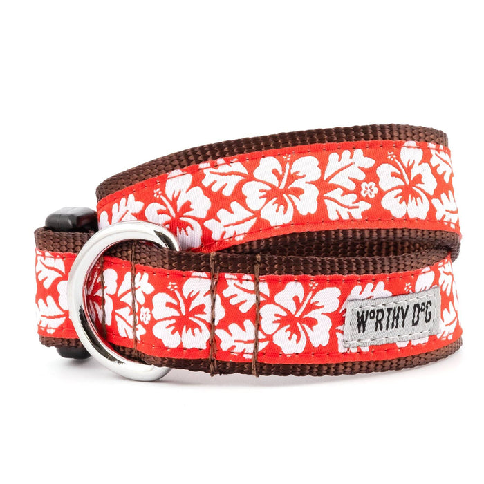 Aloha Coral Collection Dog Collar or Leads - 3 Red Rovers