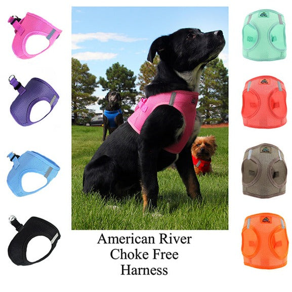 Choke free 2025 dog harness