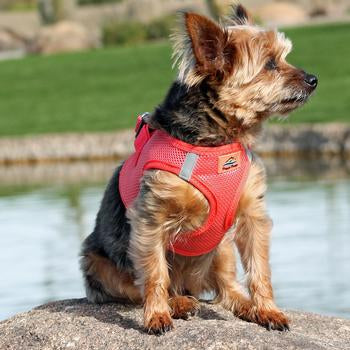 American River Ultra Choke Free Soft Mesh Dog Harness™ - Coral - 3 Red Rovers