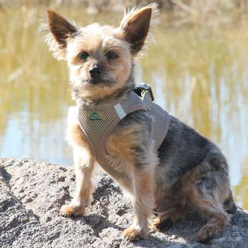 American River Ultra Choke Free Soft Mesh Dog Harness™ - Fossil Brown - 3 Red Rovers