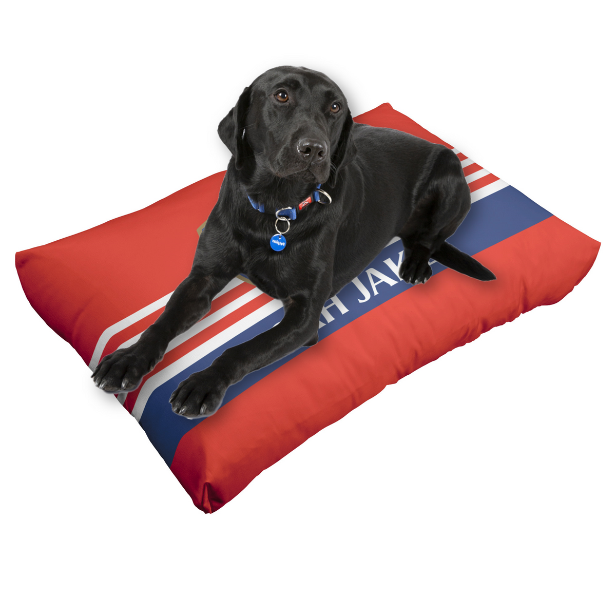 Houston Astros Pet Pillow Bed - SWIT Sports