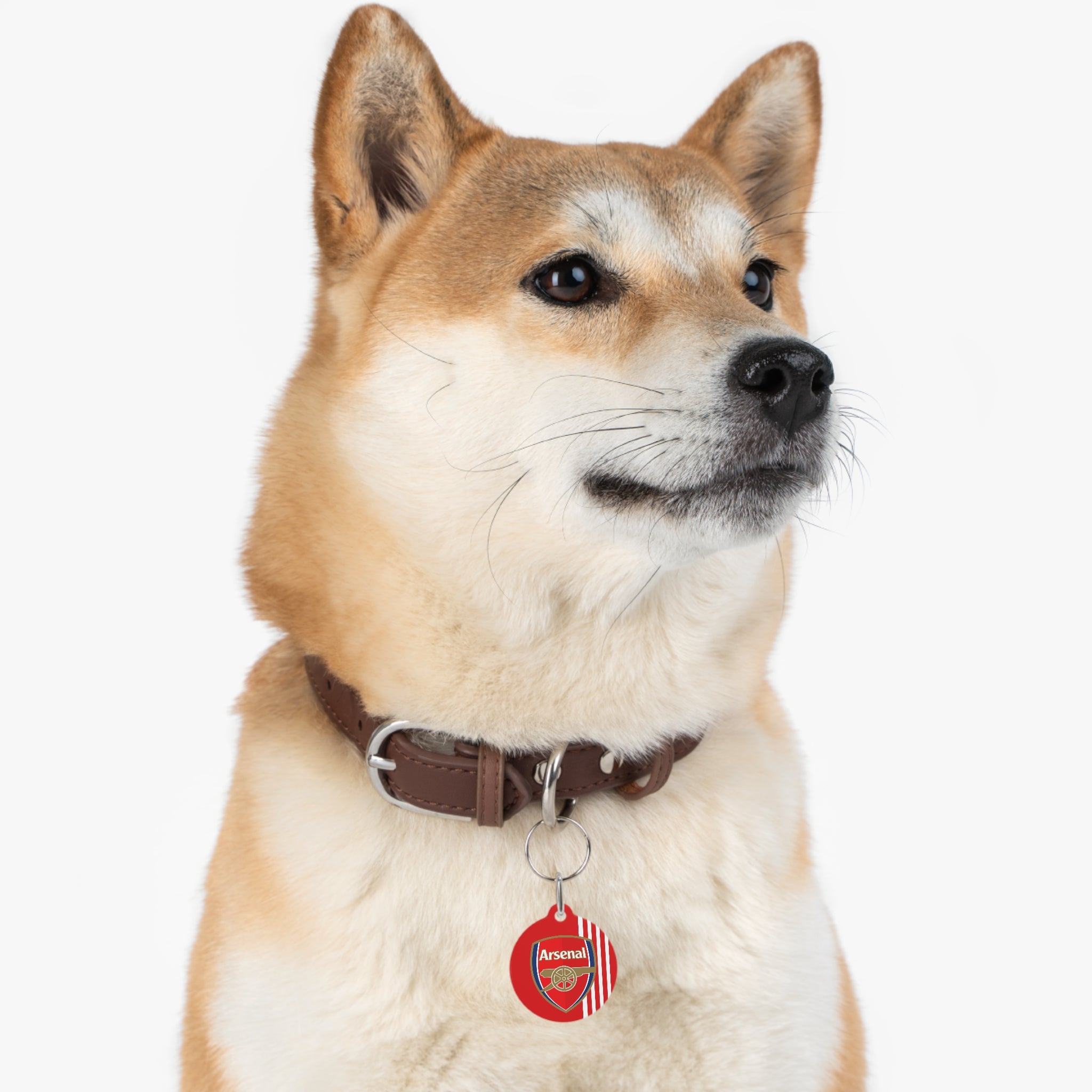 Arsenal fc dog collar discount