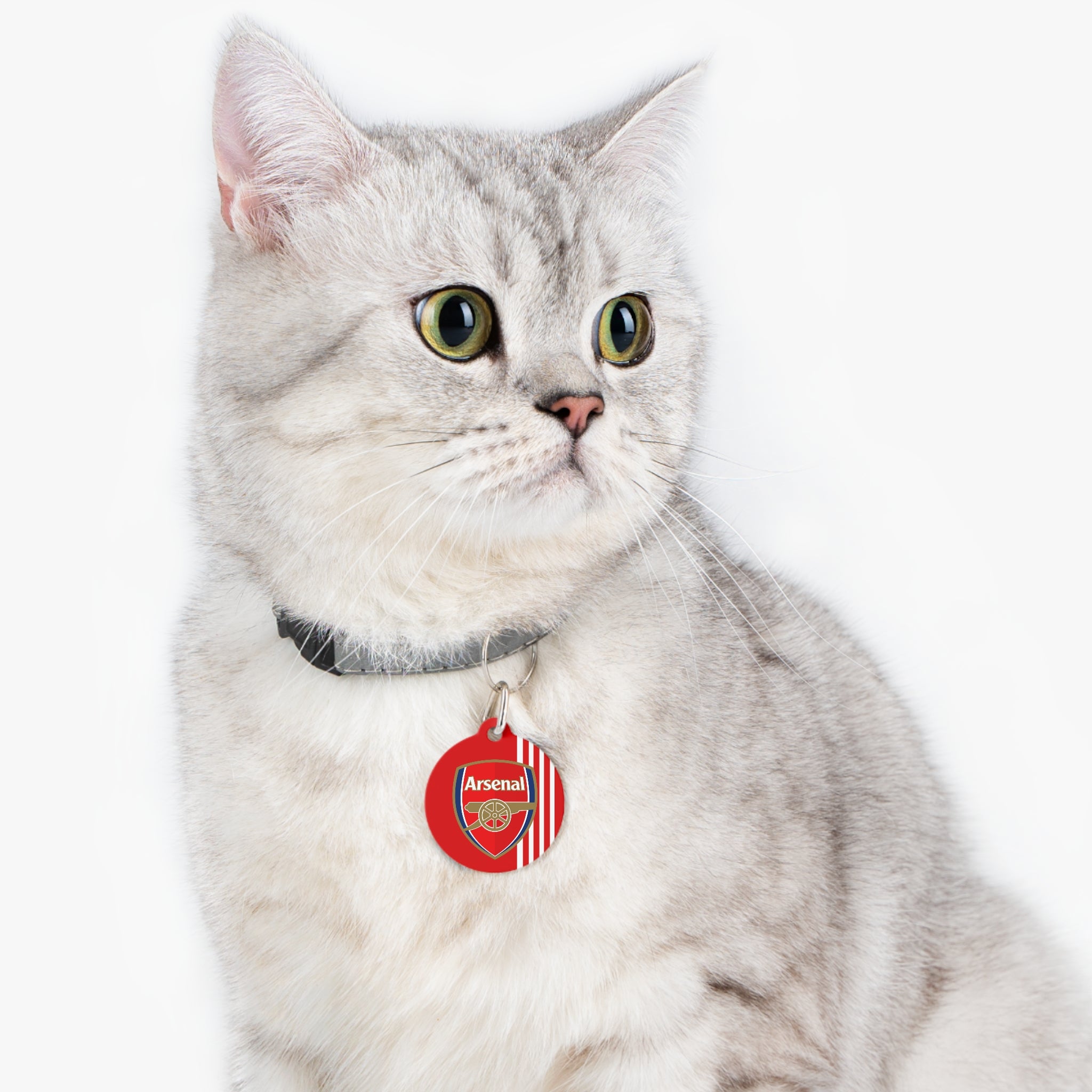 Arsenal discount cat jersey