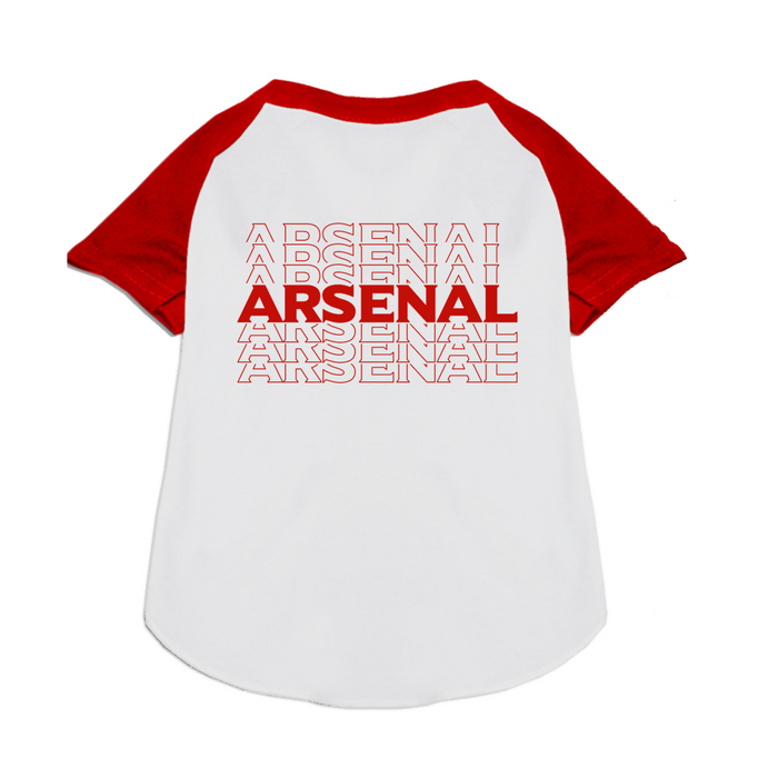 Arsenal FC Handmade Raglan Graphic Tee