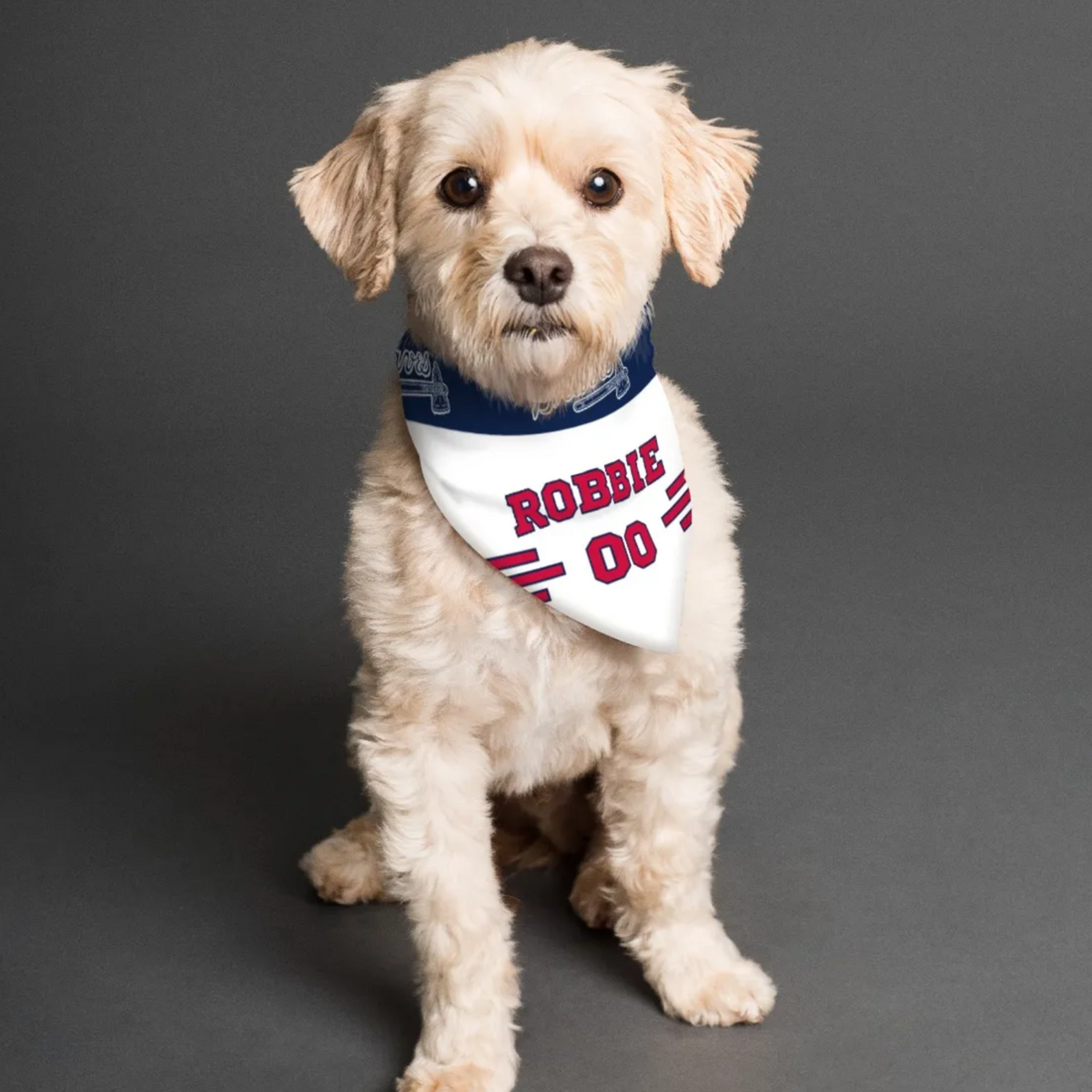 Atlanta Braves - It's #NationalPuppyDay! We want to see your furry