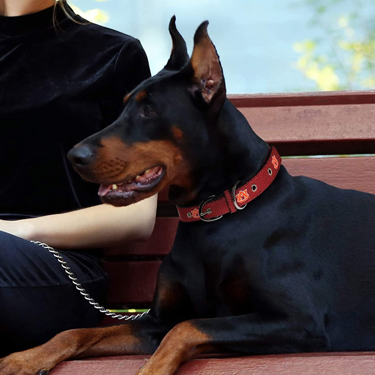 Auburn Tigers Pro Dog Collar – 3 Red Rovers
