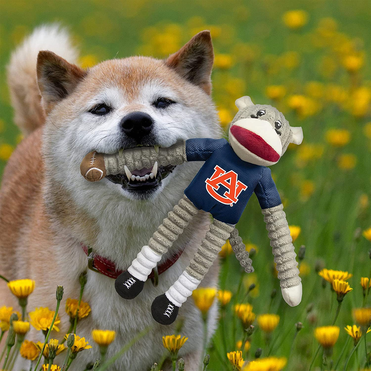 Auburn Tigers Sock Monkey Toy - 3 Red Rovers
