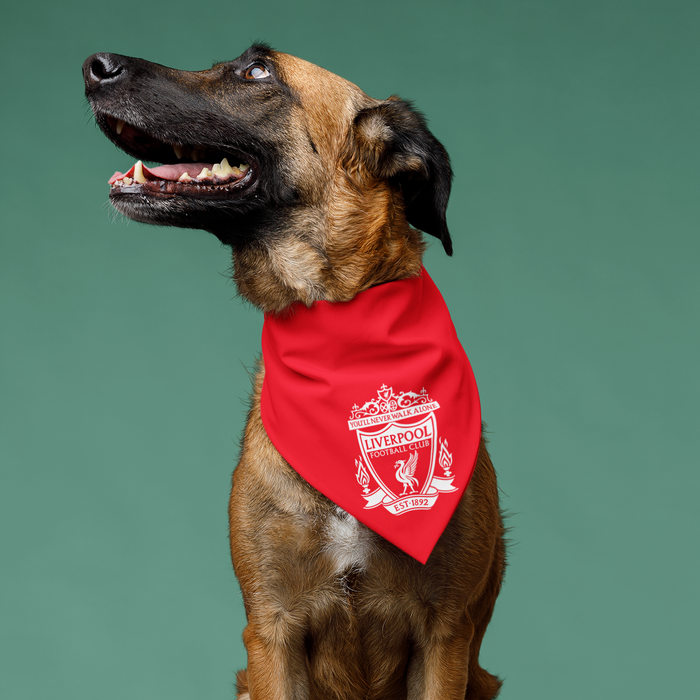 LOVE Louisville Dog Bandana Louisville Dog Collar With Scarf 