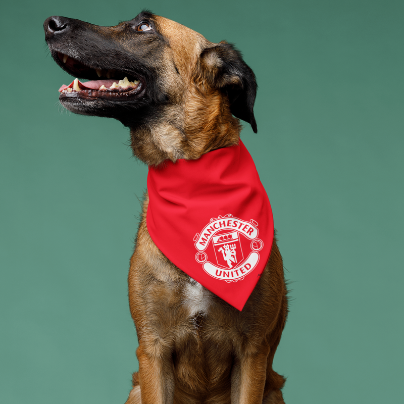 Liverpool top dog bandana