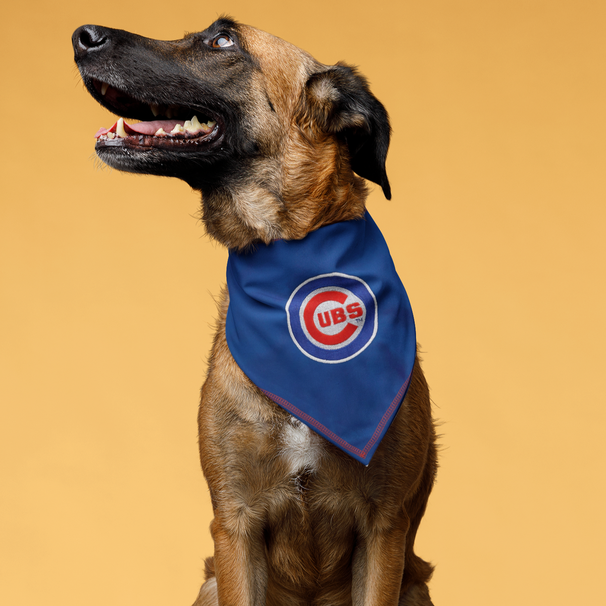 Chicago Cubs Tie-On Bandana