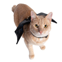 Bat Wing Pet Costume (2 versions) - 3 Red Rovers