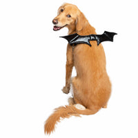 Bat Wing Pet Costume (2 versions) - 3 Red Rovers