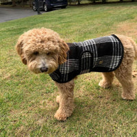 Black and White Plaid Pet Blanket Coat - 3 Red Rovers