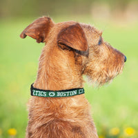 Boston Celtics Dog Collar and Leash - 3 Red Rovers