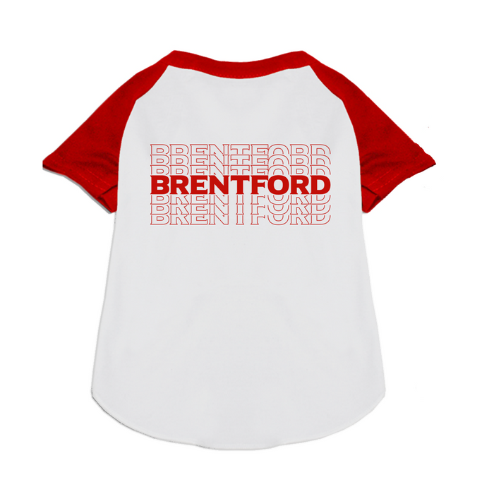 Brentford FC Handmade Raglan Graphic Tee