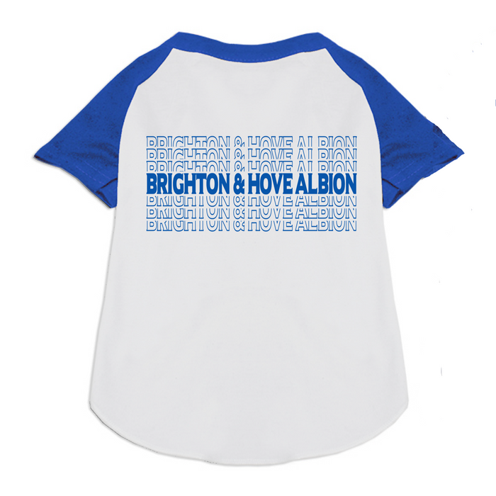 Brighton & Hove Albion FC Handmade Raglan Graphic Tee