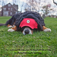 GA Bulldogs Pet Baseball Hat - 3 Red Rovers