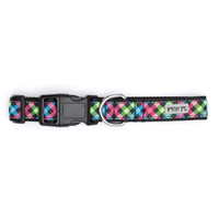 Carnival Check Collection Dog Collar or Leads - 3 Red Rovers