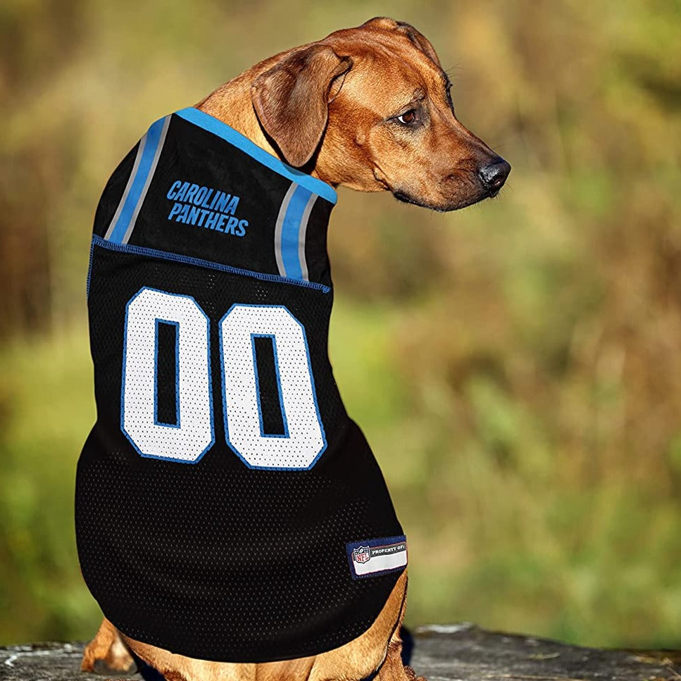 Nfl 2025 pet jersey