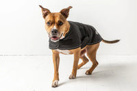 Waterproof Dog Blanket Jacket - Black