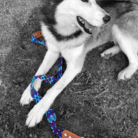 Artisan Azul Handmade 4' Pet Leads