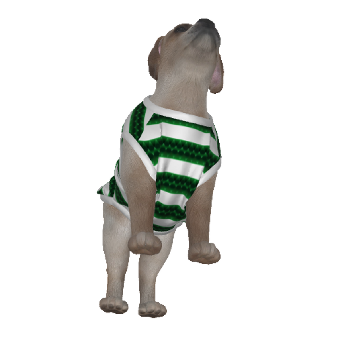 Celtic FC 23 Home Inspired Pet Tee - 3 Red Rovers