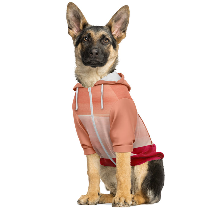 Coral Bliss Colorblock Pet Hoodie - 3 Red Rovers