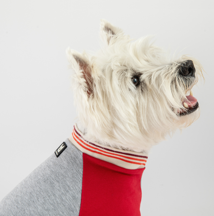 Chase Sweater - Red - 3 Red Rovers