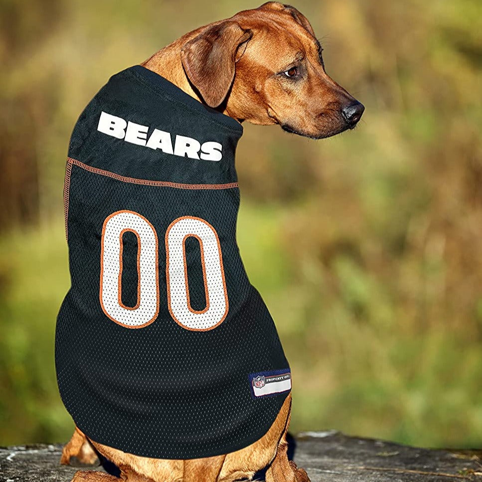 Dog bears jersey on sale