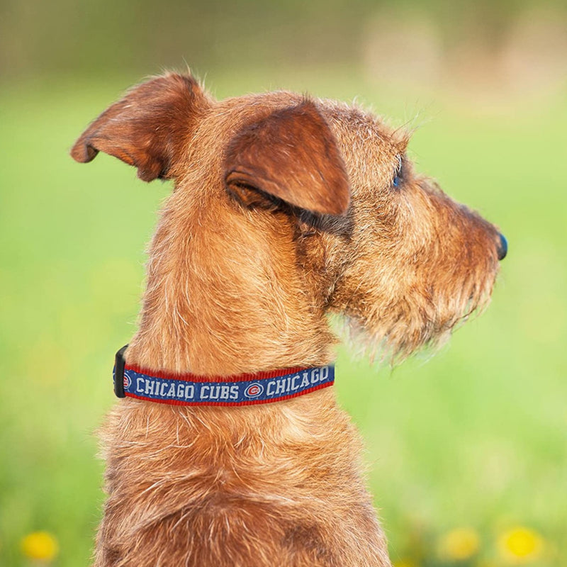 Chicago Cubs Dog Collar or Leash