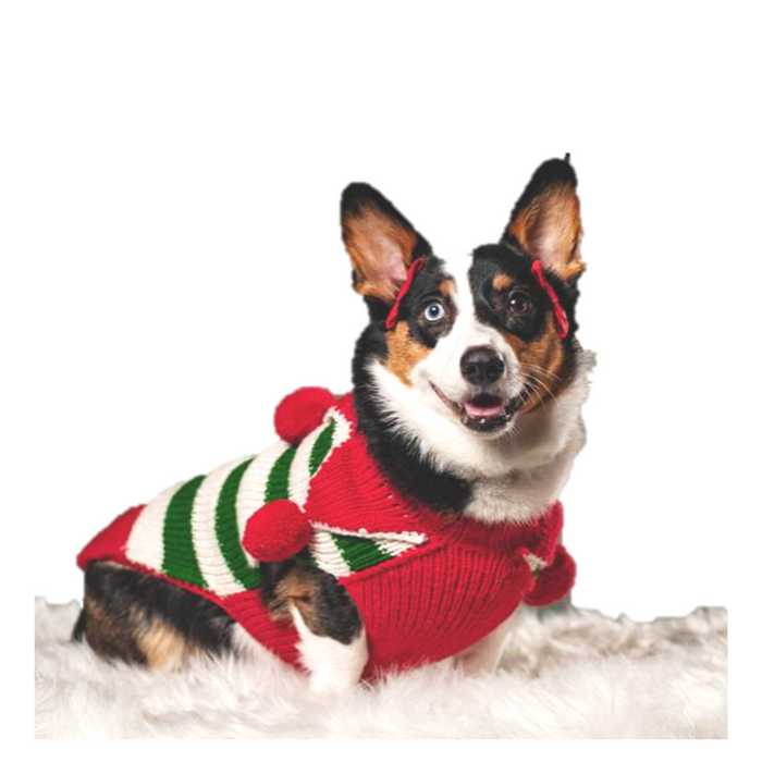 Christmas Elf Holiday Sweater - 3 Red Rovers