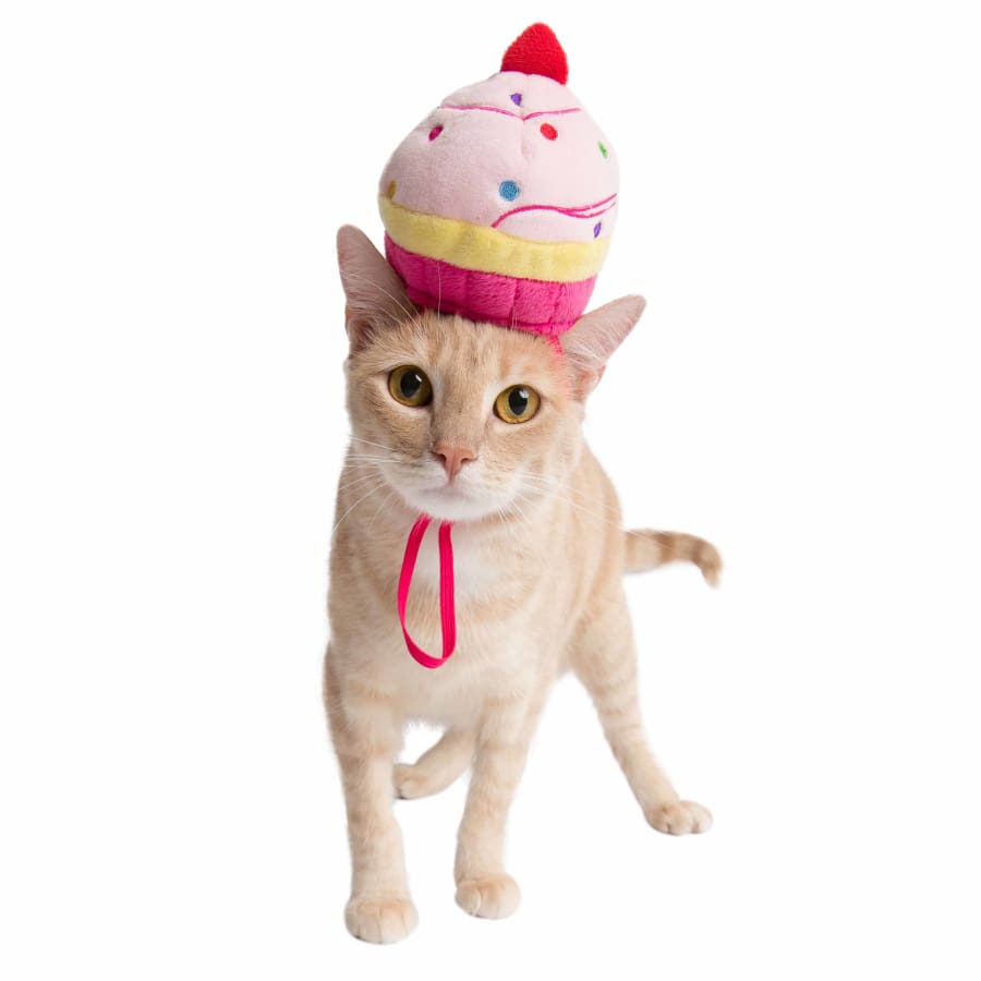 Cupcake Hat Pet Costume - 3 Red Rovers