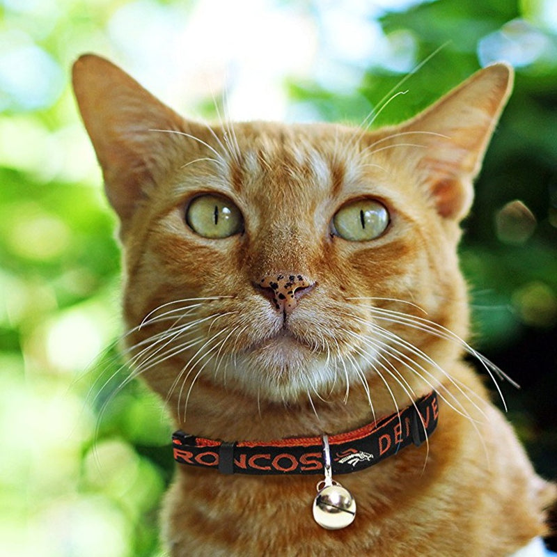 Denver Broncos Cat Collar - 3 Red Rovers