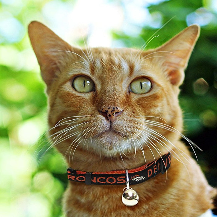 Louisville Cardinals Cat Collar – 3 Red Rovers