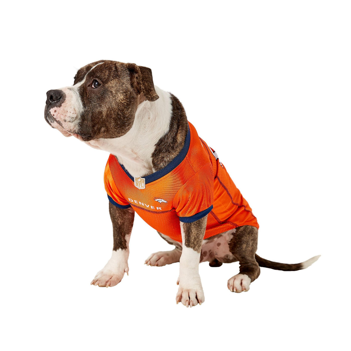 Denver Broncos Dog Jersey (Discontinued) – Athletic Pets