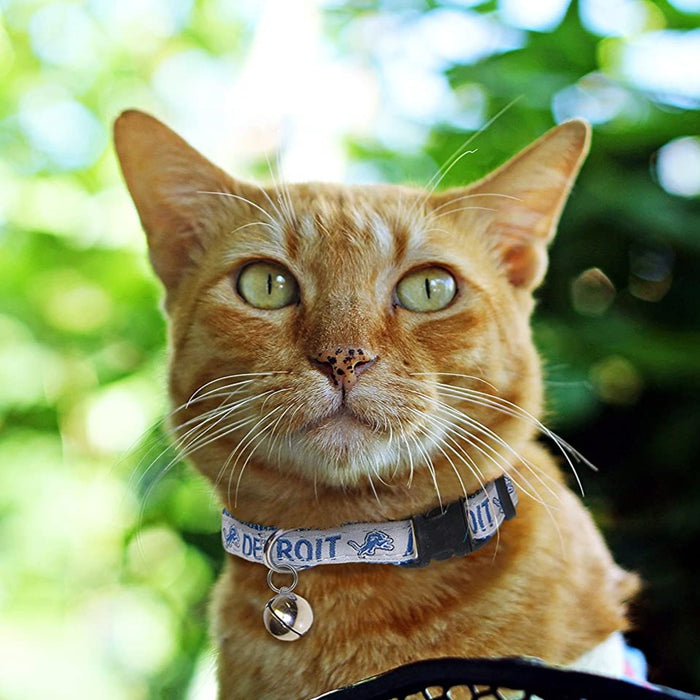 Detroit Lions Cat Collar – Athletic Pets