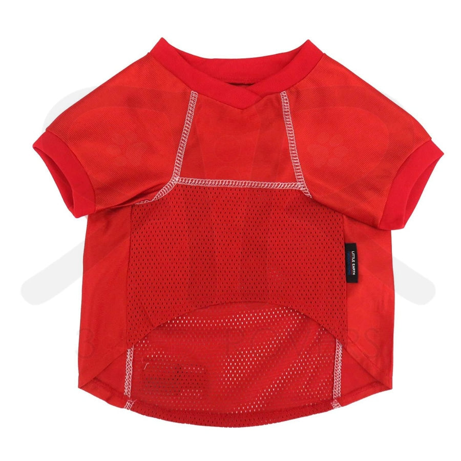Detroit Red Wings toddler jersey