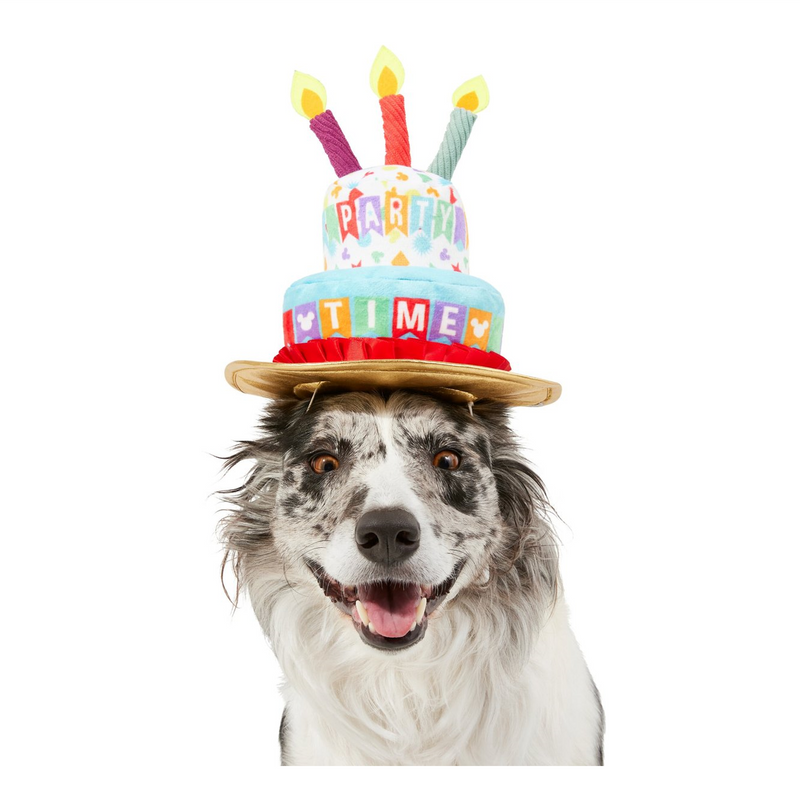 Disney 2024 birthday hat