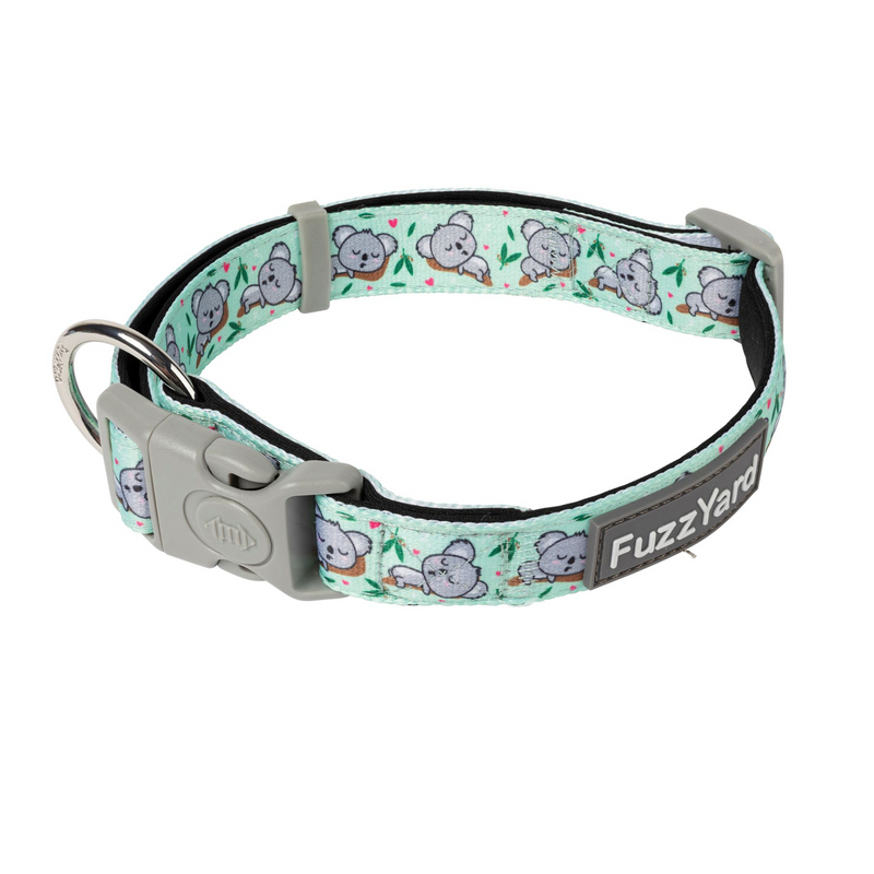 Dreamtime Koala Dog Collar