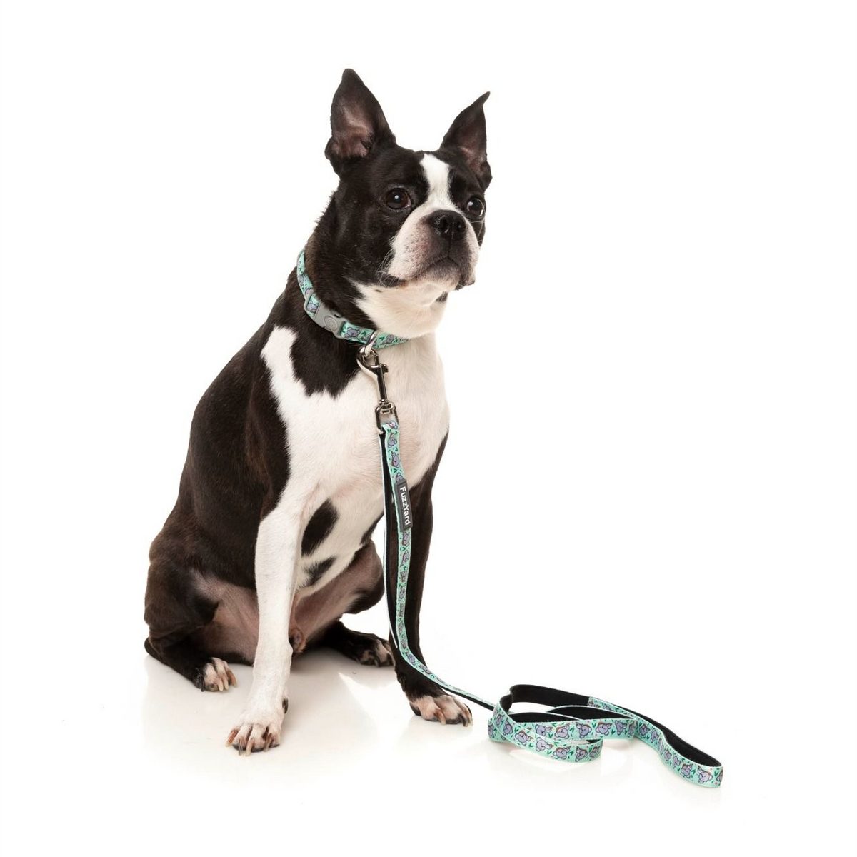 Dreamtime Koala Dog Leash