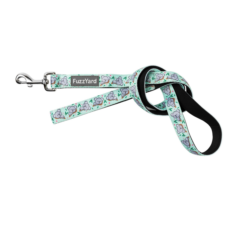 Dreamtime Koala Dog Leash