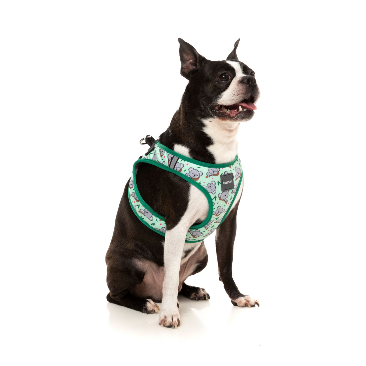 Dreamtime Koala Step-In Pet Harness