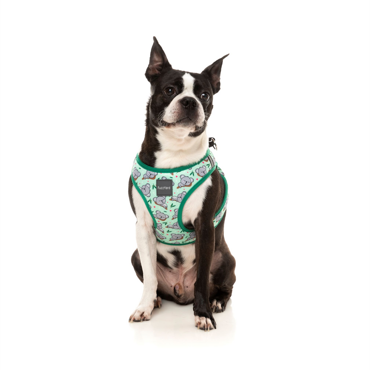 Dreamtime Koala Step-In Pet Harness