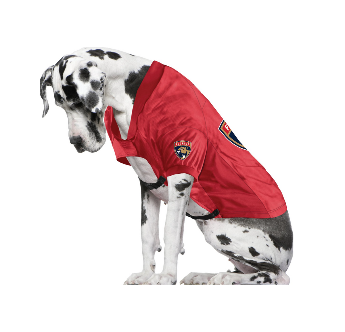 Florida panthers dog jersey hotsell