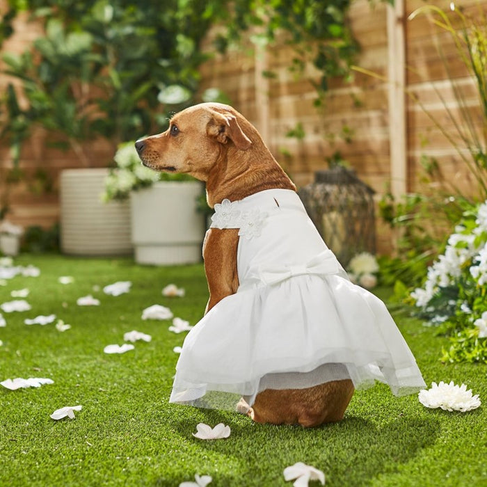 Formal White Pet Dress